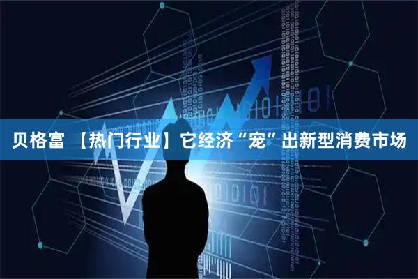 贝格富 【热门行业】它经济“宠”出新型消费市场