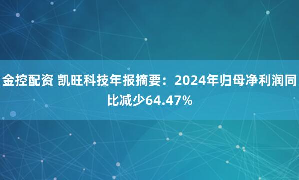 金控配资 凯旺科技年报摘要：2024年归母净利润同比减少64.47%