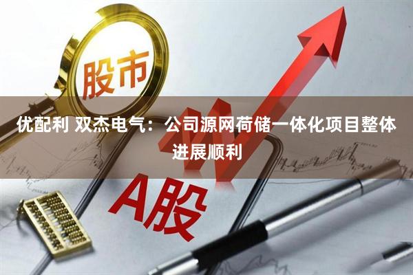 优配利 双杰电气：公司源网荷储一体化项目整体进展顺利